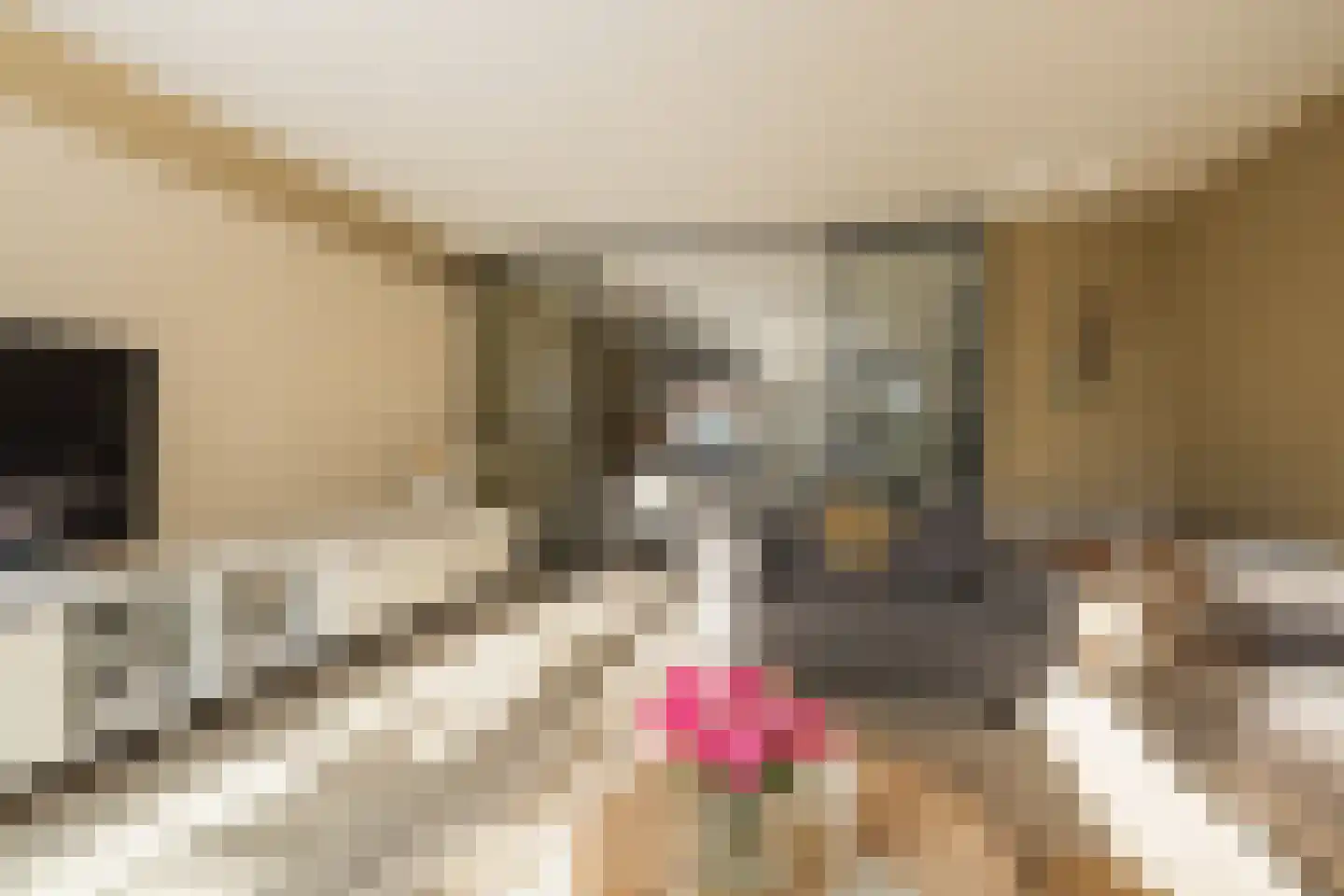 Wouda 44 Hillegom thumbnail 8