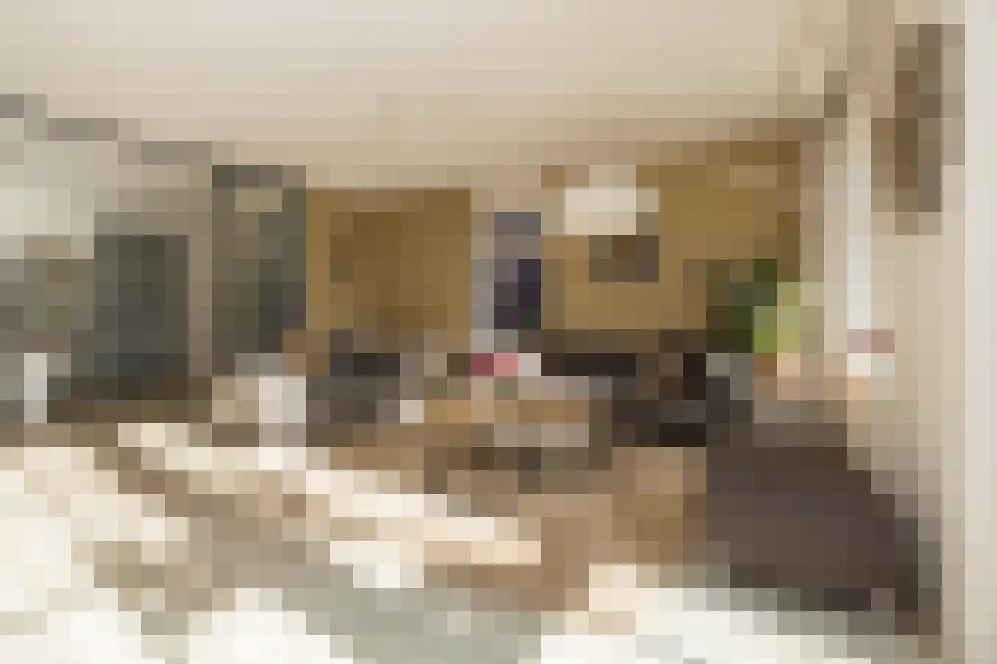 Wouda 44 Hillegom thumbnail 9