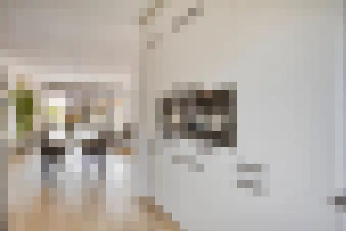 Woudagemaal 17 Middenbeemster thumbnail 18