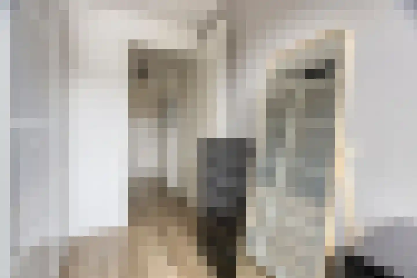 Woudagemaal 17 Middenbeemster thumbnail 32
