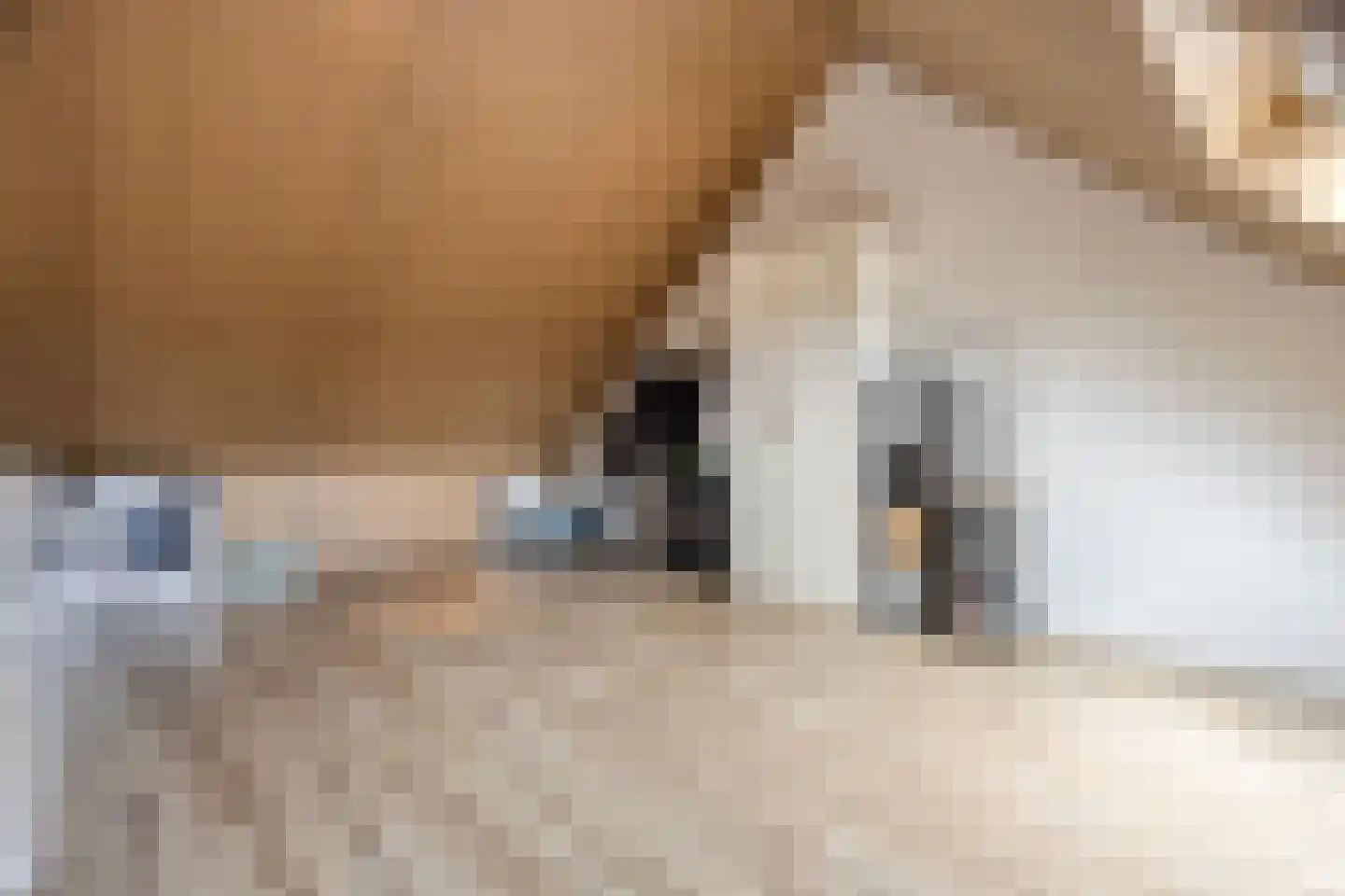 Woudagemaal 17 Middenbeemster thumbnail 33