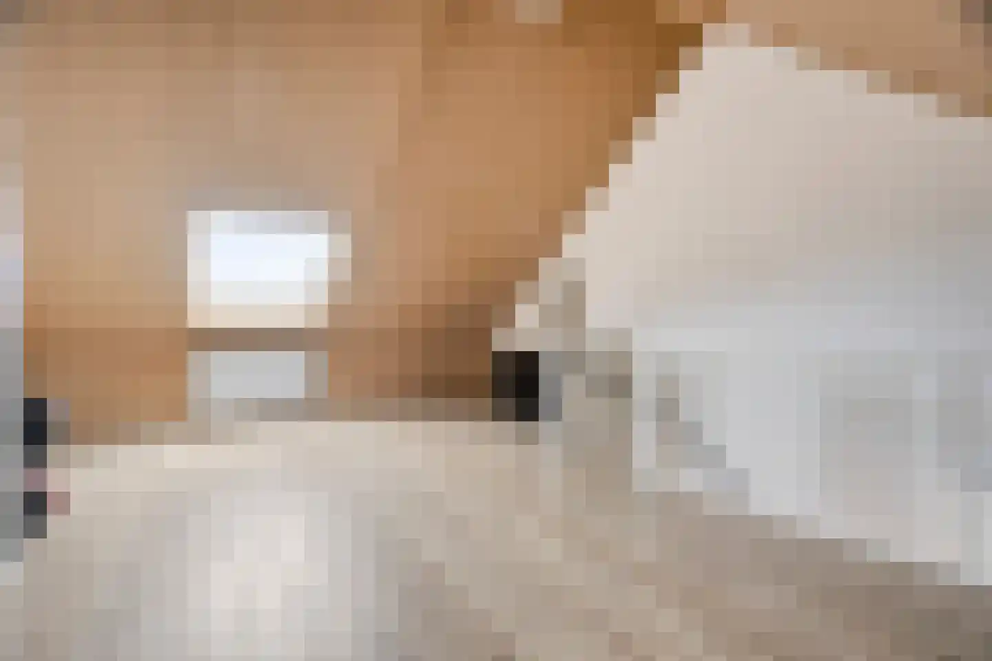 Woudagemaal 17 Middenbeemster thumbnail 35