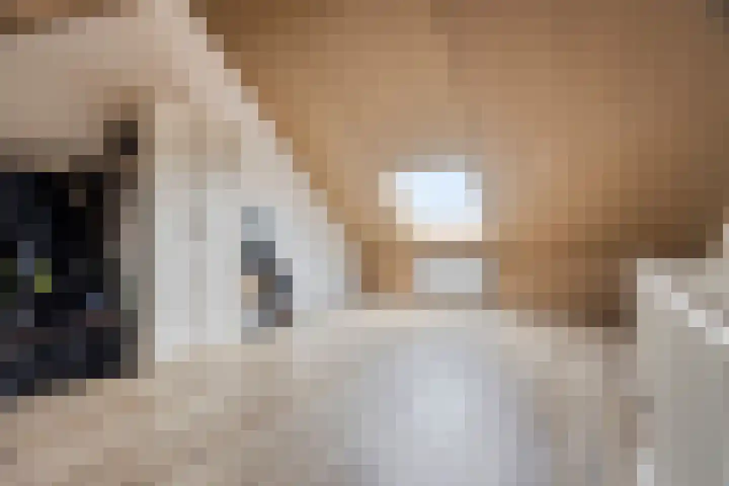Woudagemaal 17 Middenbeemster thumbnail 36