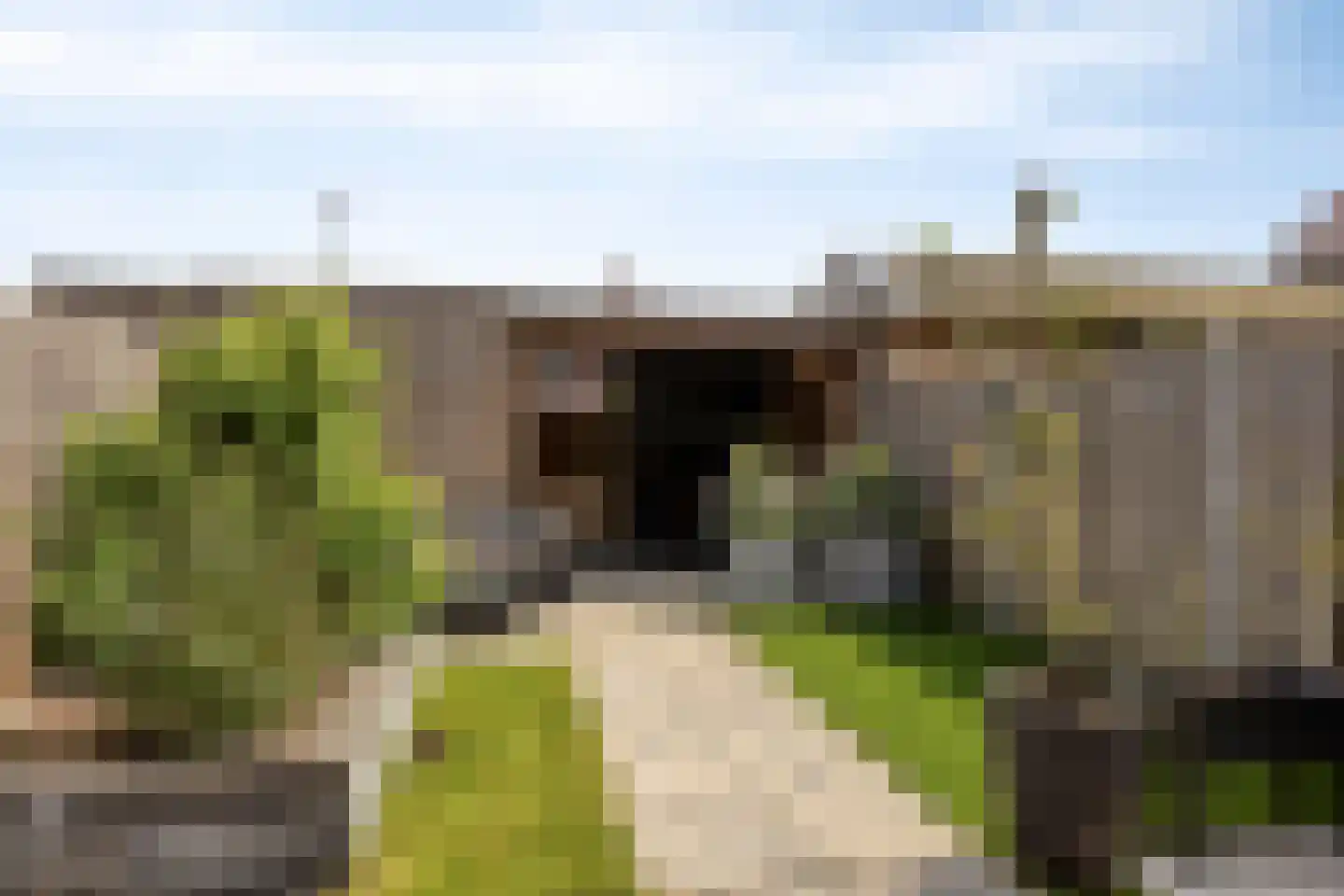 Woudagemaal 17 Middenbeemster thumbnail 38