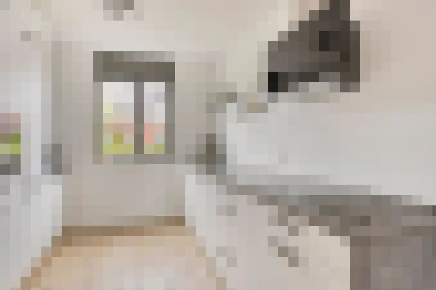Woudagemaal 17 Middenbeemster thumbnail 4