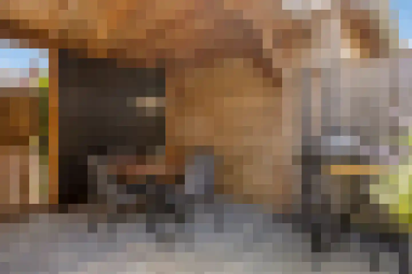 Woudagemaal 17 Middenbeemster thumbnail 40