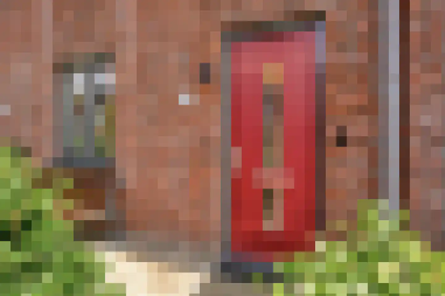 Woudagemaal 17 Middenbeemster thumbnail 41