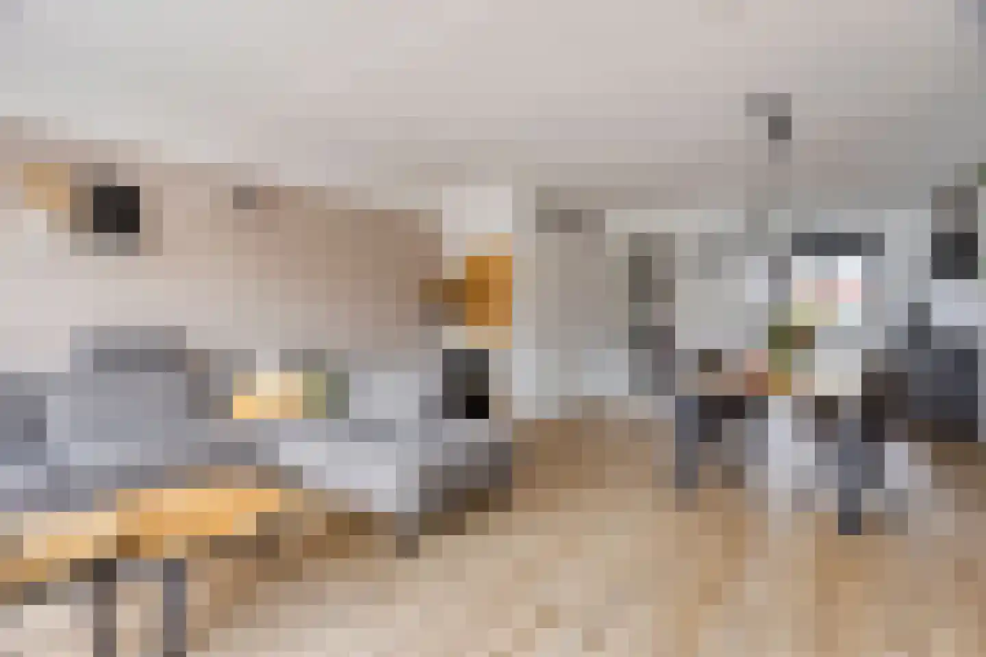 Woudagemaal 17 Middenbeemster thumbnail 8