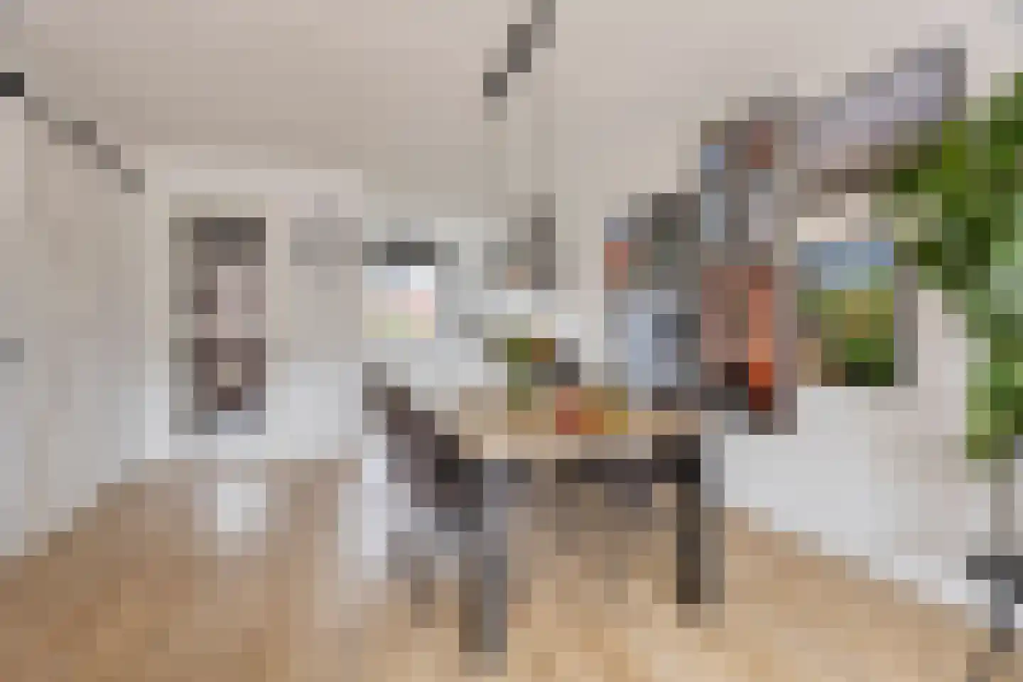 Woudagemaal 17 Middenbeemster thumbnail 9