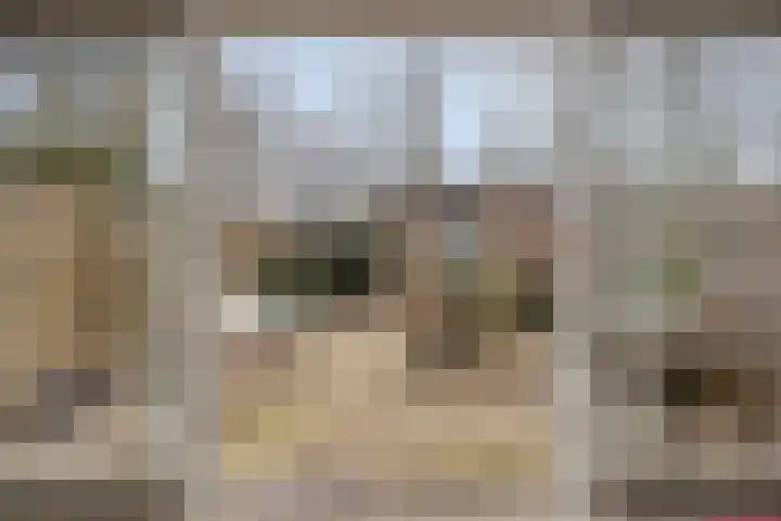 Woudbes 23 Leiden thumbnail 10