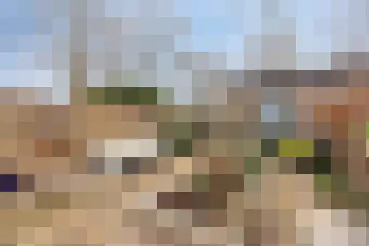 Woudbes 23 Leiden thumbnail 11