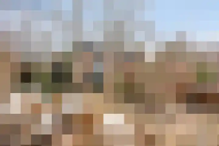 Woudbes 23 Leiden thumbnail 12