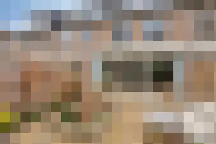 Woudbes 23 Leiden thumbnail 13