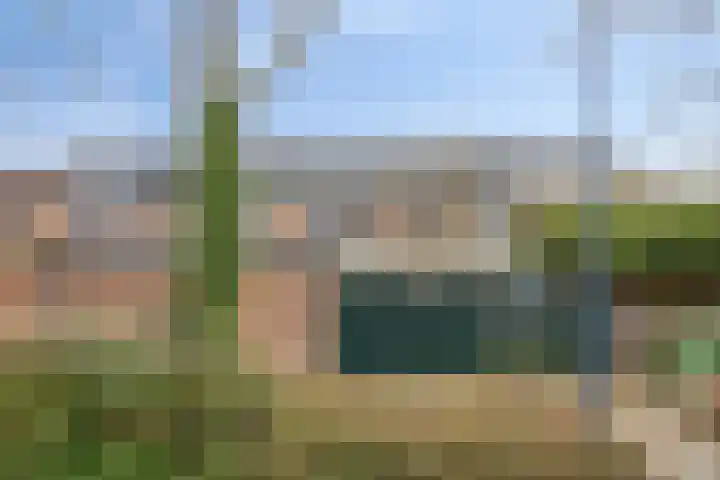 Woudbes 23 Leiden thumbnail 14
