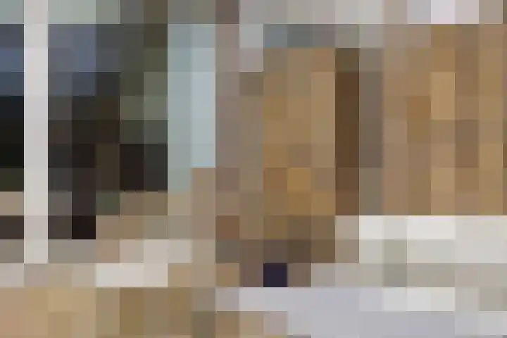 Woudbes 23 Leiden thumbnail 15