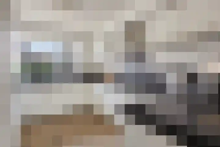 Woudbes 23 Leiden thumbnail 16