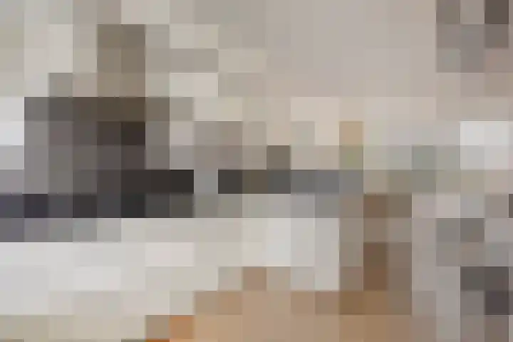 Woudbes 23 Leiden thumbnail 17