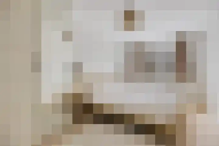 Woudbes 23 Leiden thumbnail 19