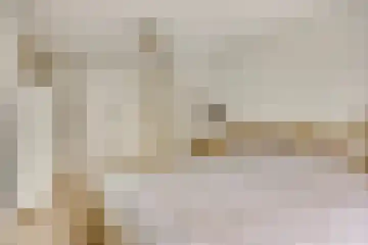 Woudbes 23 Leiden thumbnail 20