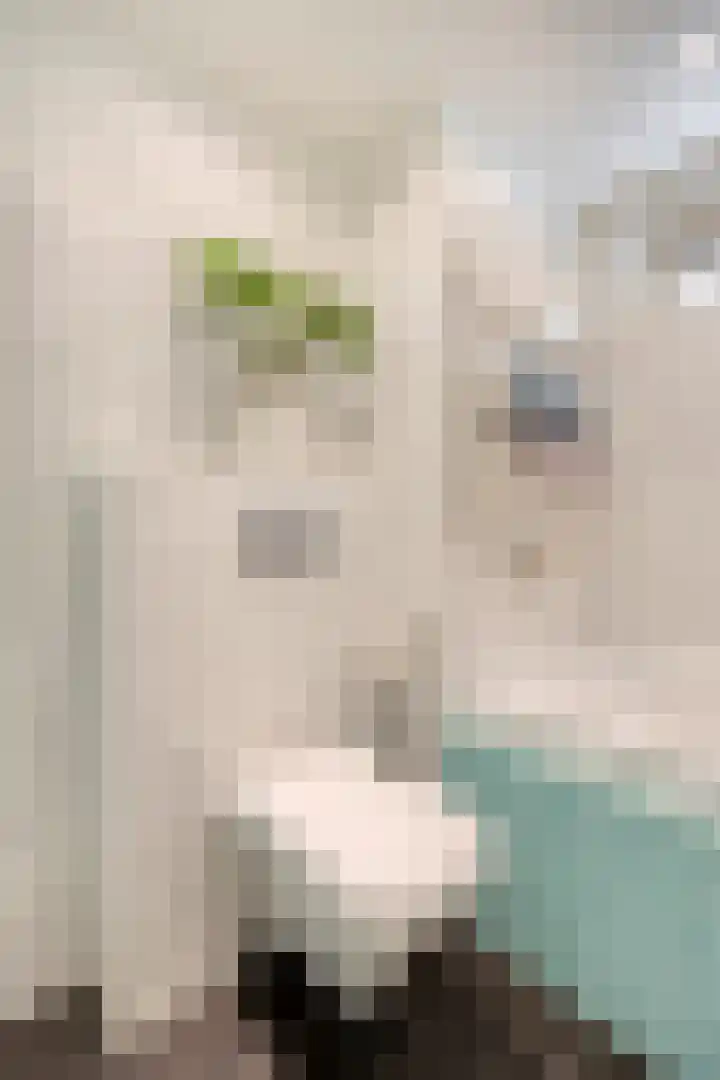 Woudbes 23 Leiden thumbnail 23