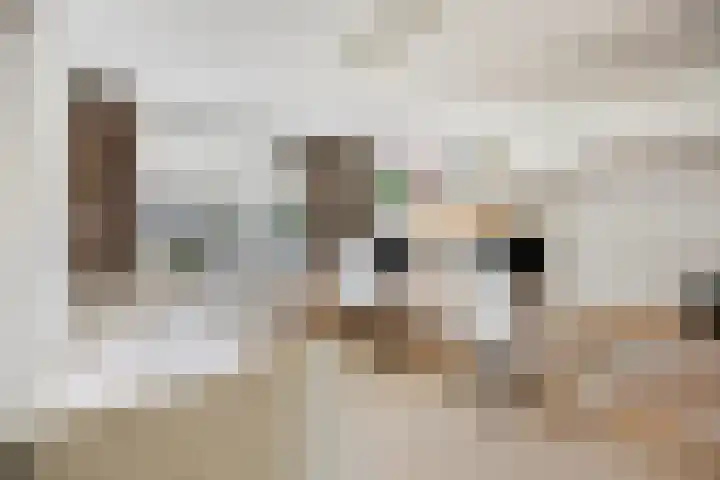 Woudbes 23 Leiden thumbnail 24