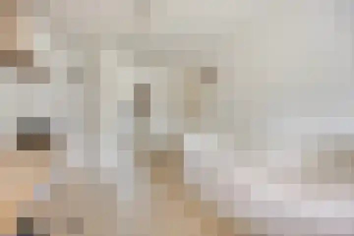 Woudbes 23 Leiden thumbnail 25