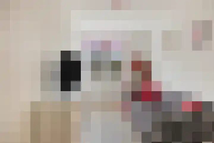 Woudbes 23 Leiden thumbnail 26