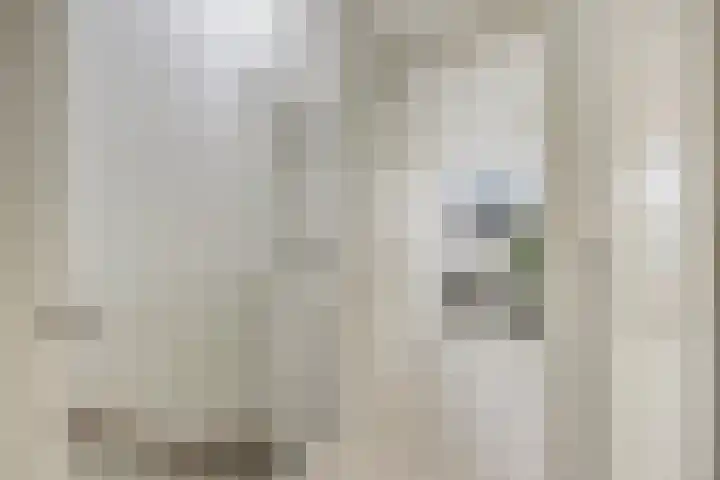Woudbes 23 Leiden thumbnail 27