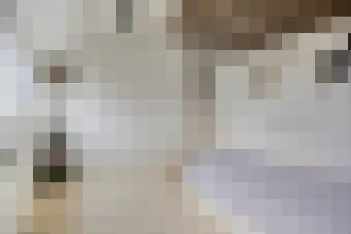 Woudbes 23 Leiden thumbnail 29
