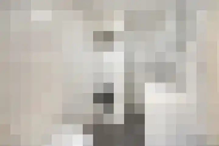 Woudbes 23 Leiden thumbnail 30