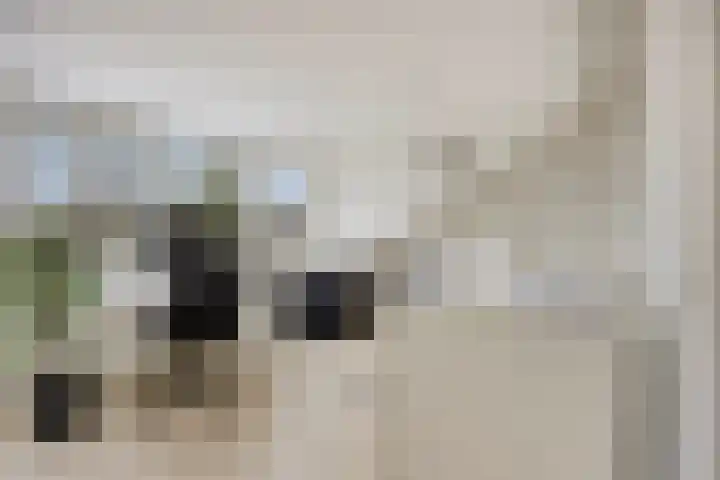 Woudbes 23 Leiden thumbnail 31