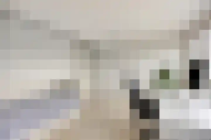 Woudbes 23 Leiden thumbnail 32