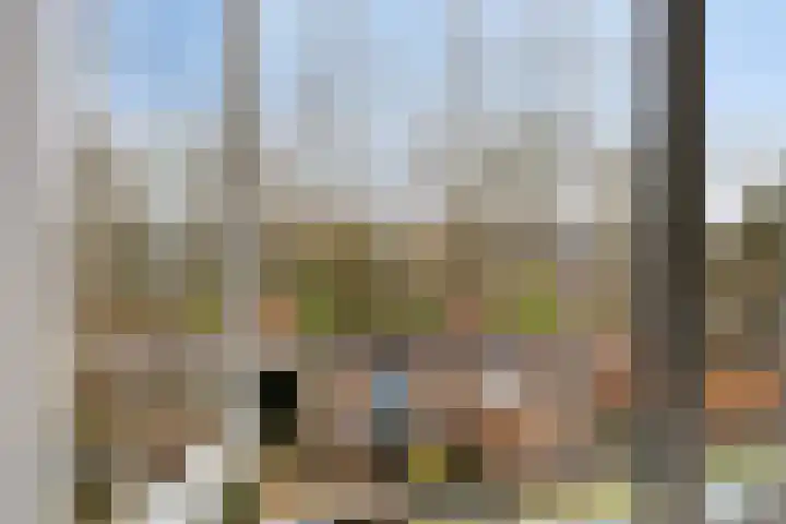 Woudbes 23 Leiden thumbnail 33