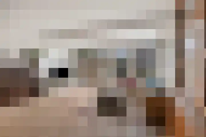 Woudbes 23 Leiden thumbnail 9