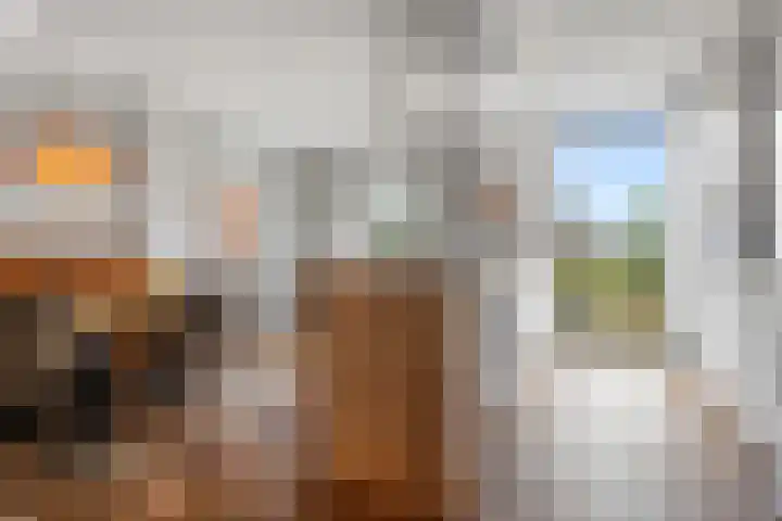 Woudbloemlaan 12 Woudbloem thumbnail 11