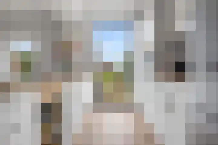 Woudbloemlaan 12 Woudbloem thumbnail 12