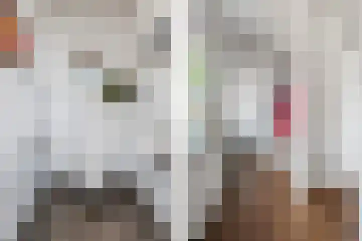 Woudbloemlaan 12 Woudbloem thumbnail 14