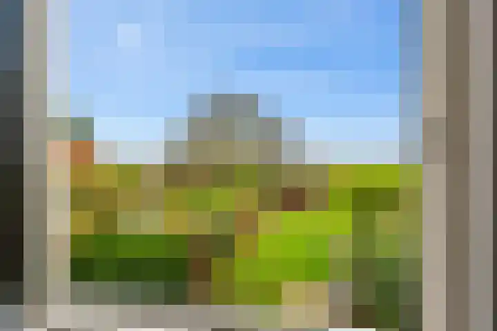 Woudbloemlaan 12 Woudbloem thumbnail 16