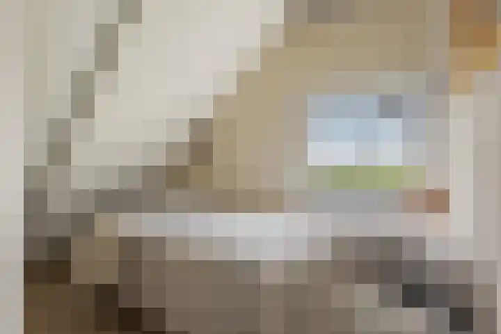 Woudbloemlaan 12 Woudbloem thumbnail 17