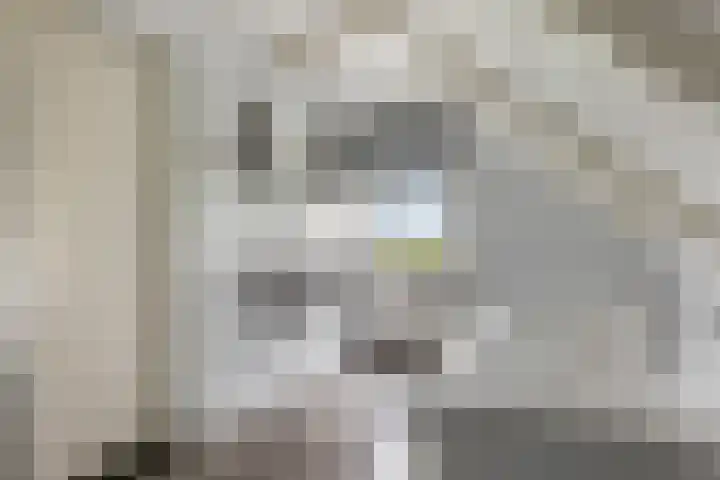 Woudbloemlaan 12 Woudbloem thumbnail 20