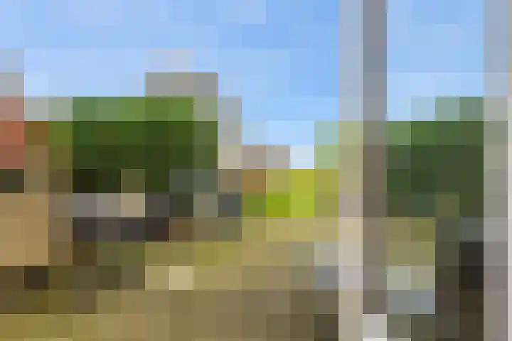Woudbloemlaan 12 Woudbloem thumbnail 21