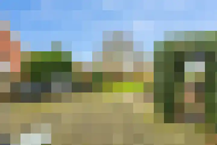 Woudbloemlaan 12 Woudbloem thumbnail 22