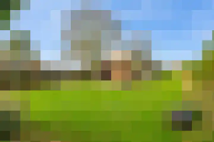 Woudbloemlaan 12 Woudbloem thumbnail 24