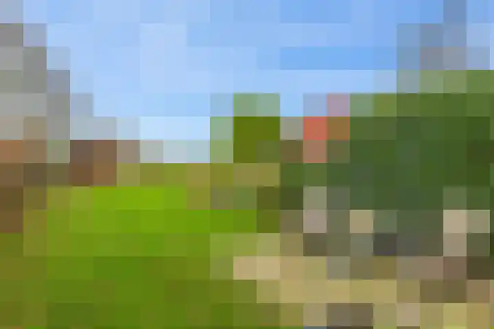 Woudbloemlaan 12 Woudbloem thumbnail 25
