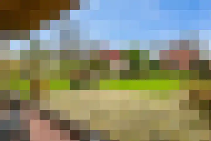 Woudbloemlaan 12 Woudbloem thumbnail 27