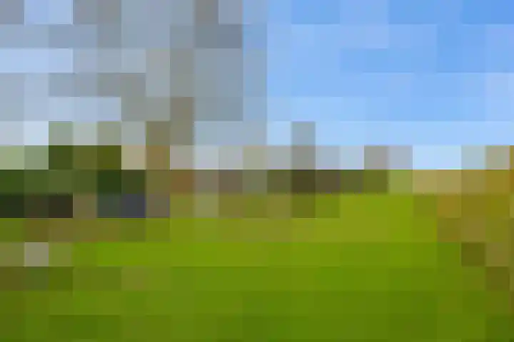 Woudbloemlaan 12 Woudbloem thumbnail 28