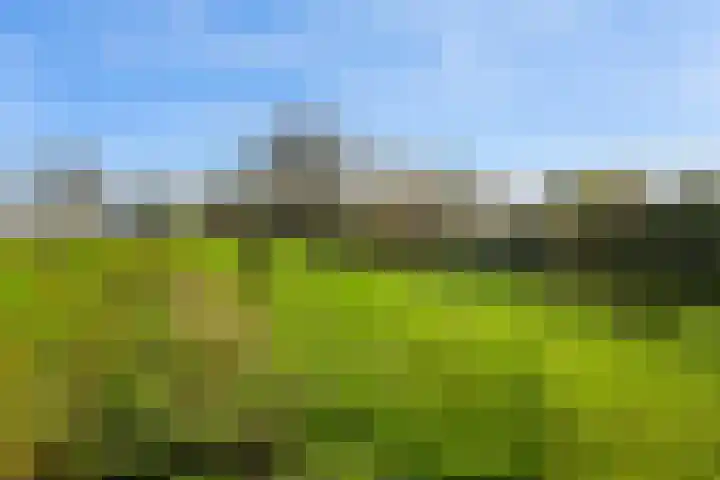Woudbloemlaan 12 Woudbloem thumbnail 29