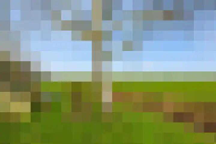 Woudbloemlaan 12 Woudbloem thumbnail 30