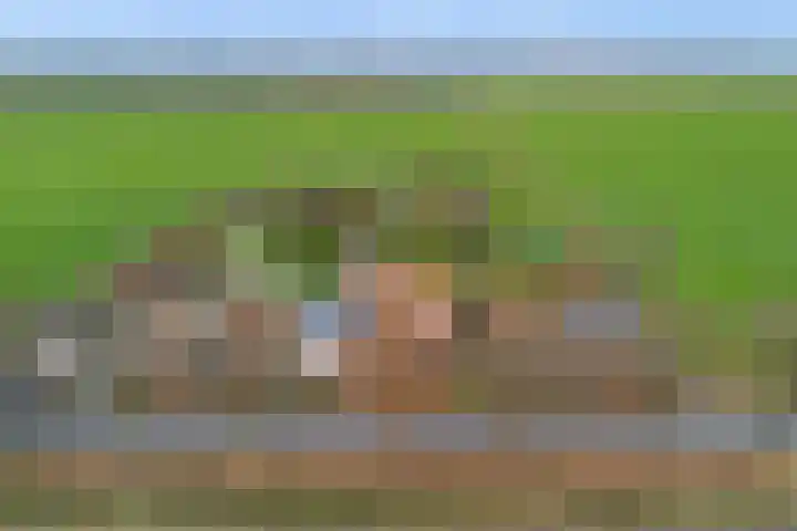 Woudbloemlaan 12 Woudbloem thumbnail 32