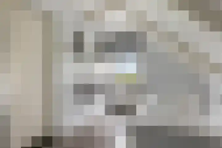 Woudbloemlaan 12 Woudbloem thumbnail 4
